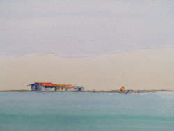 Petalus sketch, watercolour